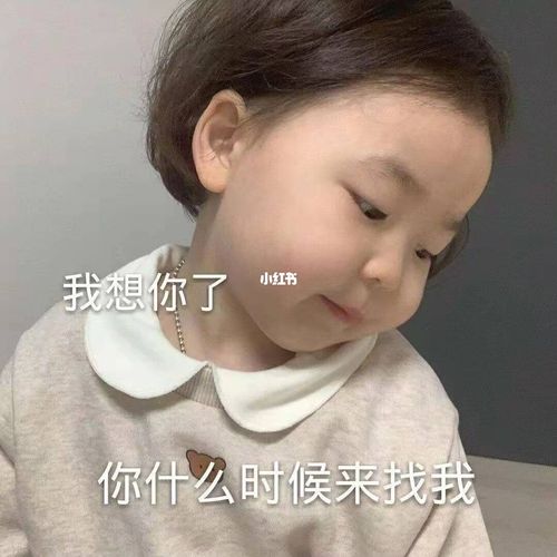 女生必备表情包|聊天必备_表情包_素材_表情包