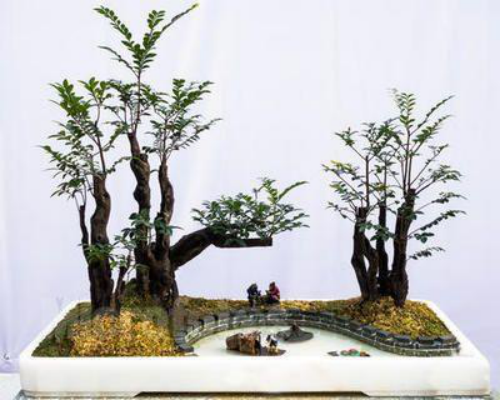 极具东方魅力的黑骨香,你喜欢吗?