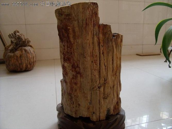 木化石_价格800元【渭南石磊】_第1张_7788收藏__收藏热线