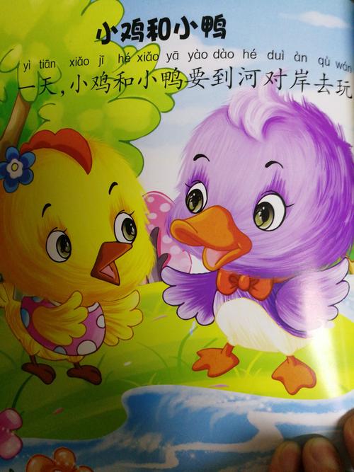 绘本故事《小鸡和小鸭》