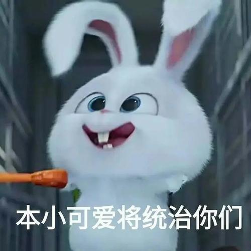 有人喜欢兔老大的表情包吗?