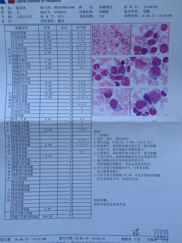帮忙看下骨髓报告,谢谢