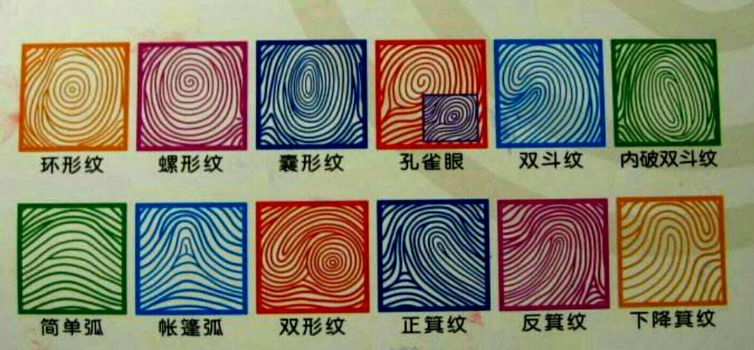 黄清漪~之指纹篇