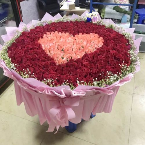 999朵红玫瑰蓝色妖姬香槟全国同城丹东鲜花店摩登兄弟