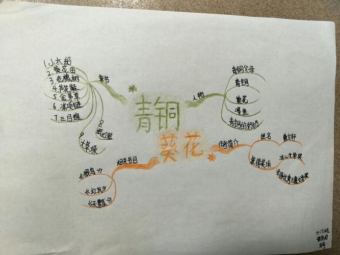 【六11思维导图之】《青铜葵花》阅读