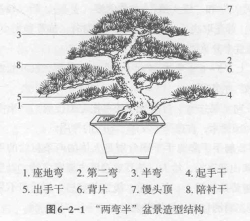通派盆景制作技艺(2)通派盆景"两弯半"盆景造型