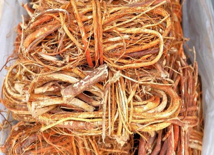 七指毛桃的禁食人群