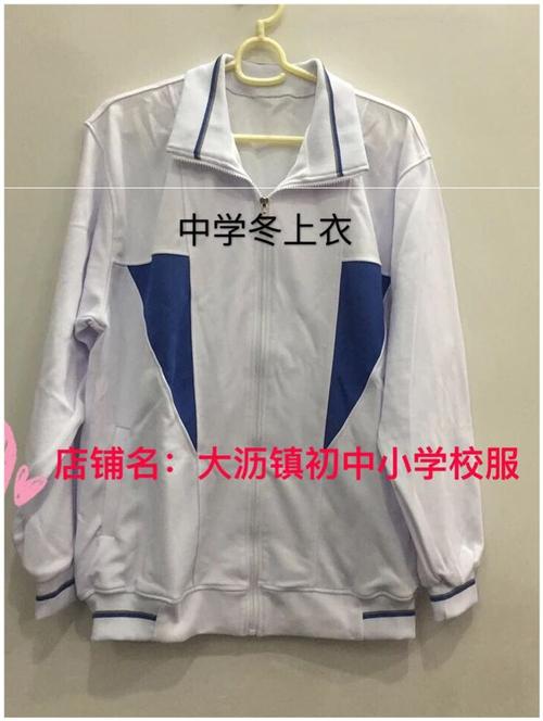 学校指定佛山南海区大沥校服中学冬装(什么学校的备注下校服定制