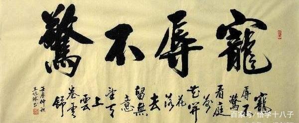 第331篇》宠辱不惊.帛书老子.13
