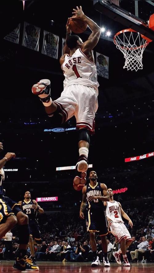 德里克·罗斯无水印壁纸!