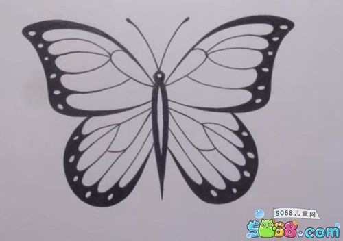 一步一步教你画蝴蝶 蝴蝶的画法分享(5)_铅笔画 - 5068儿童网