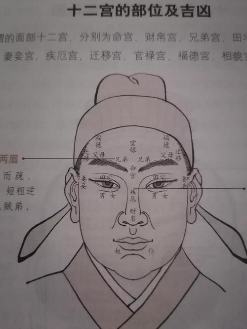 面相十二宫图解