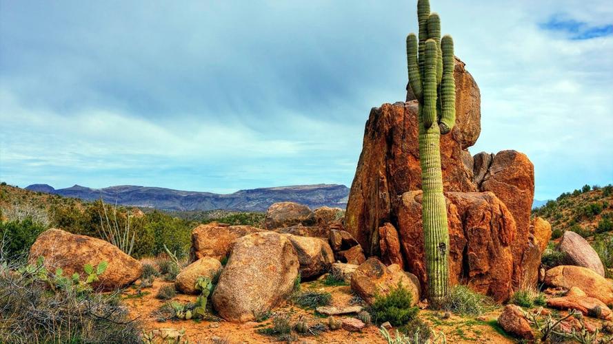 戈壁山峰与仙人掌图片下载(图片id:1549514)_-风景壁纸-图片素材_ 聚