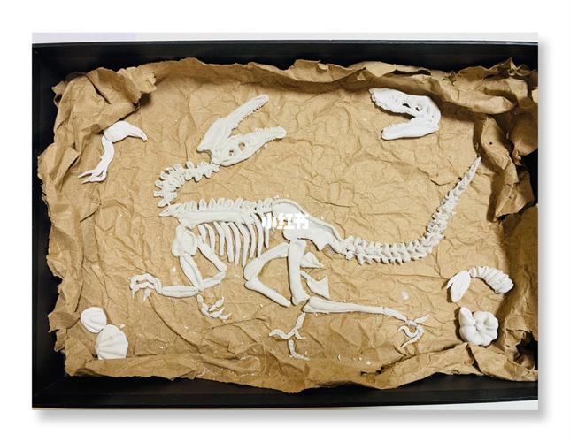 恐龙化石—石塑粘土_粘土_兴趣爱好_手工