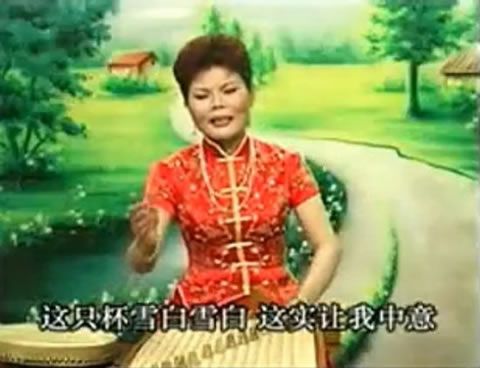 温州鼓词仙女龙凤杯温州鼓词网仙女龙凤杯全集13集