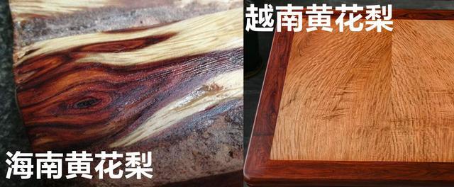 降香黄檀与海南黄花梨的区别海南黄花梨和越南黄花梨的区别