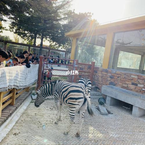 商丘动物园_景点_动物园_商丘人民公园攻略_商丘市动物园_出行_传统