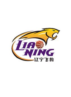 辽宁衡业飞豹俱乐部的介绍