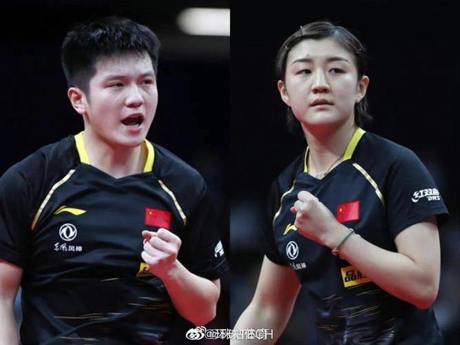 加油呀陈梦樊振东将出席世乒赛抽签