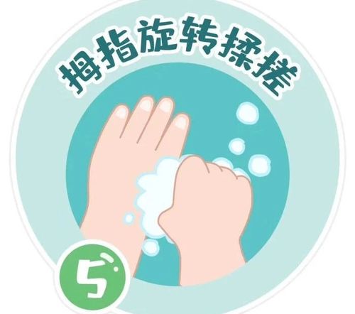 左家庄幼儿园7步洗手法带口罩方法儿歌