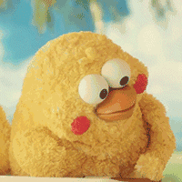 兄弟鹦鹉表情包