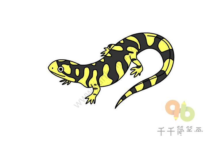 儿童画蝾螈的简笔画