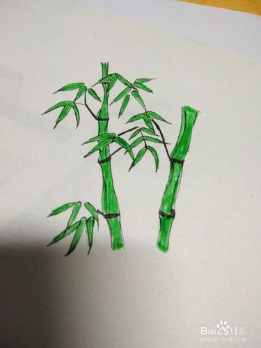 简单又美丽的竹子的画