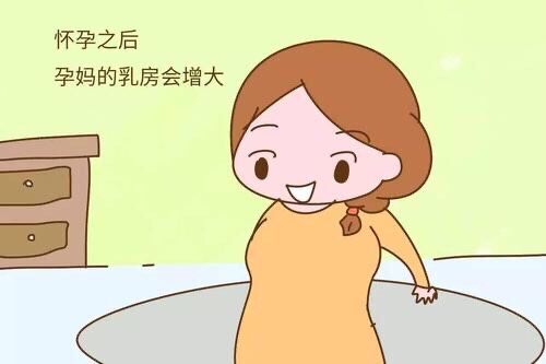 孕期乳房增大在怀孕期间,由于激素的影响下,准妈妈的乳房可能出现这些