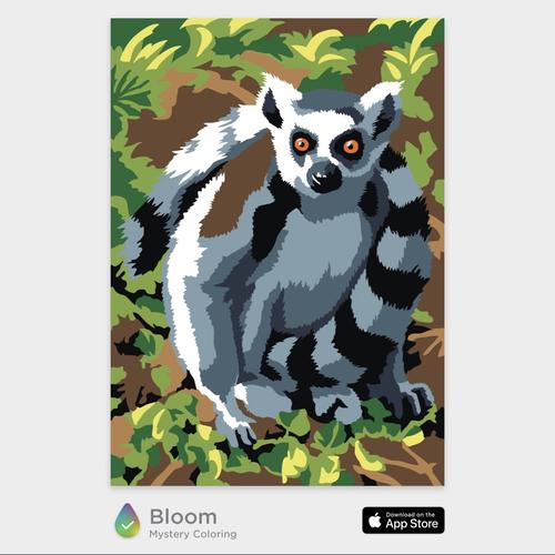 狐猴科狐猴属,环尾狐猴.lemur catta.