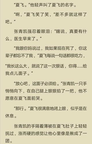 3,夏飞,张青凯,出自巫哲的《竹木狼马》,副cp.
