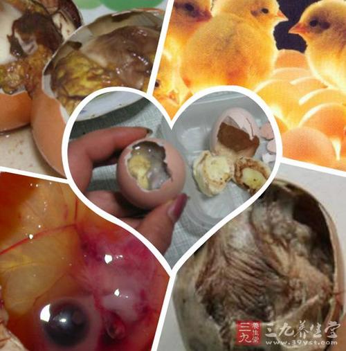 鸡毛蛋是鸡蛋在孵化过程中受到不当的温度,湿度或者是某些病菌的影响