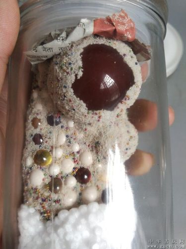 出土少见的老高僧舍利子