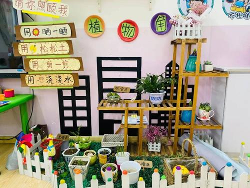营口市育才幼儿园种植区建设掠影