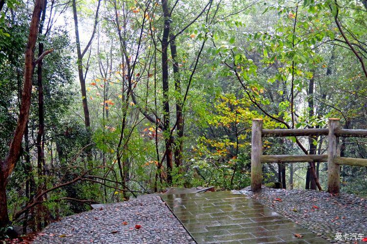 凤凰山森林公园