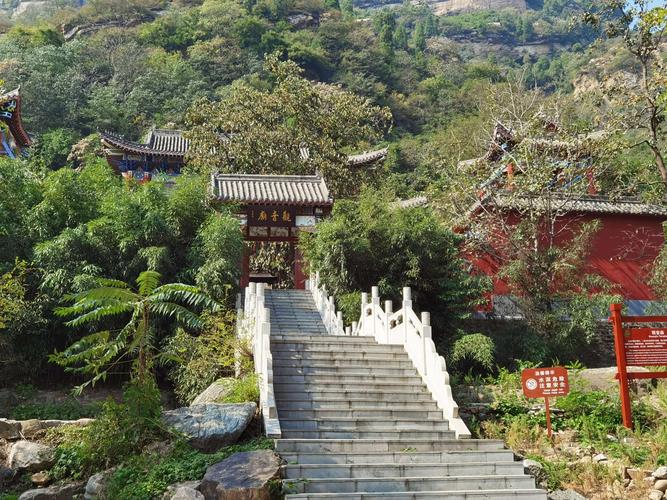 游王母山风景