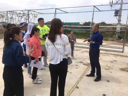 朝阳川镇这些项目将影响延吉未来发展格局!夏季先完成