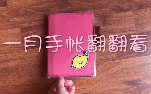 【手帐】一月手帐翻翻看初投稿