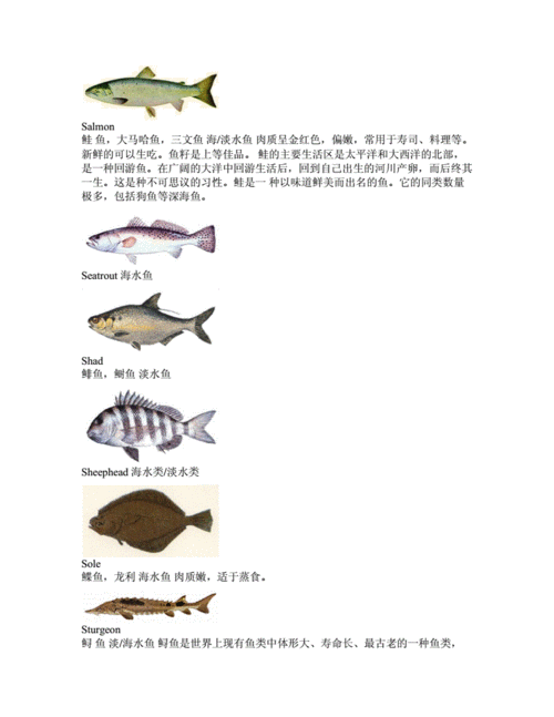鱼类和食物英语词汇.docx