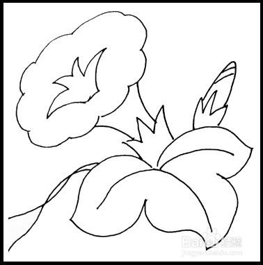 怎样画简笔画(花卉):[7]牵牛花