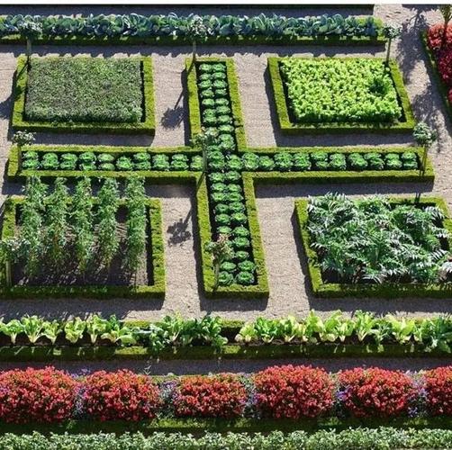 足不出户的日子阳台后院都别撂荒小心别人的菜园比你的花园还要美