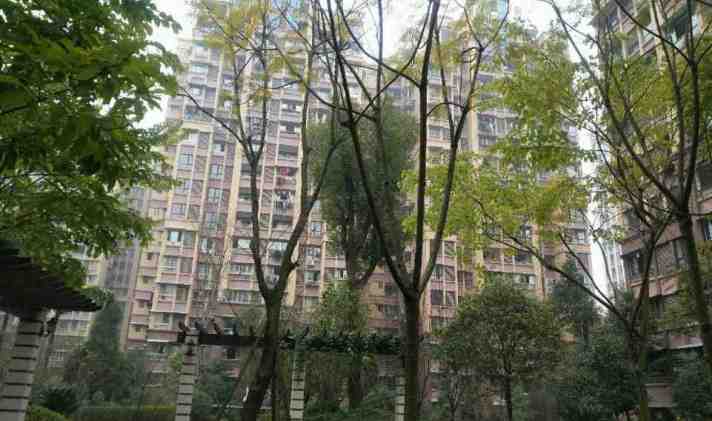 富顺县富顺 西城国际 3室2厅2卫 100平米