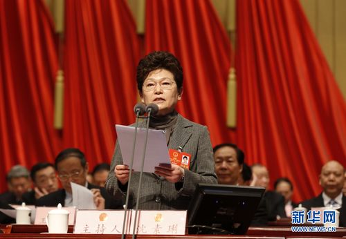 安徽省人大常委会副主任沈素琍主持大会.新华网 陈扬 摄