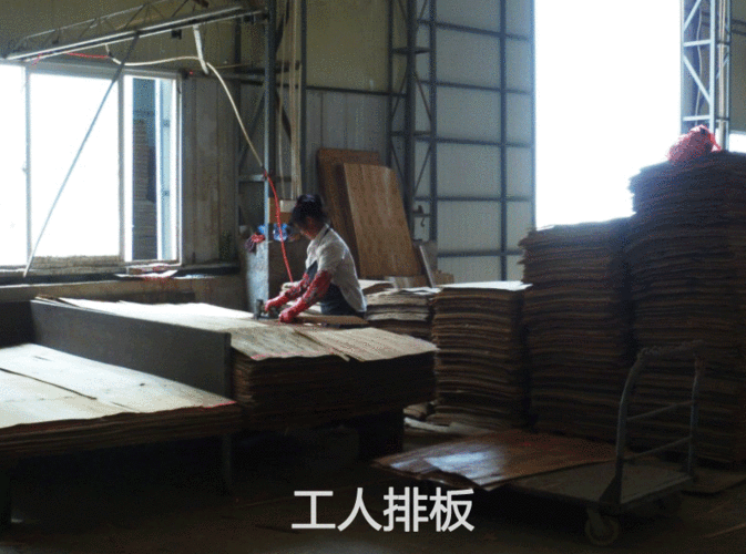 漳州建筑模板厂家荣佳木业为您详细介绍建筑模板生产过程