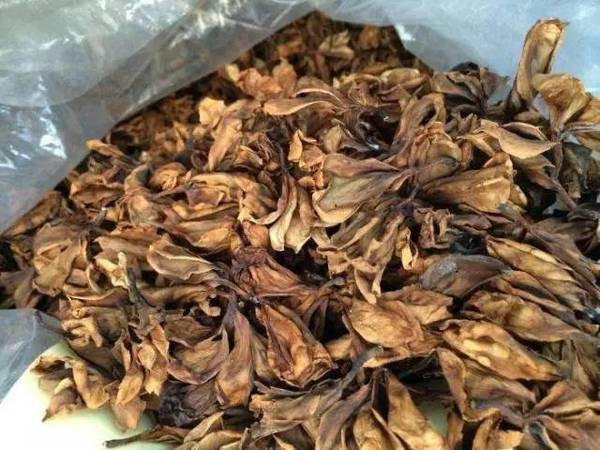 【一院中医】药名中含"鸡"的常用中药材以及食疗方,您