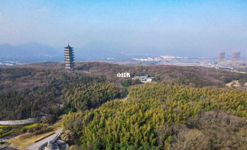 龙背山森林公园_宜兴_森林_蔷薇_休闲娱乐_景点