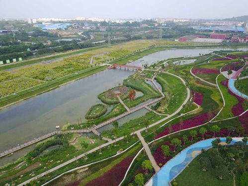 南宁那考河湿地公园 周华 摄