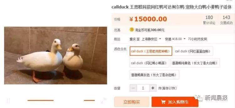 王思聪30000元同款宠物鸭找到了?500元买颗蛋自己孵!