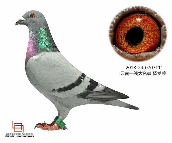 杨发荣.喜欢的联系 我