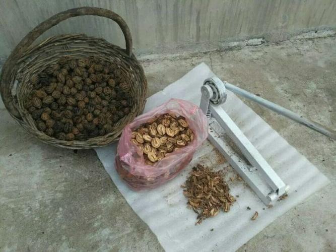 有人订购了枣哥的山核桃仁,开工用这个小型开壳机器开壳,有时候也会