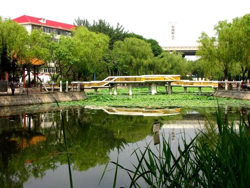 [转载]东丽公园一瞥